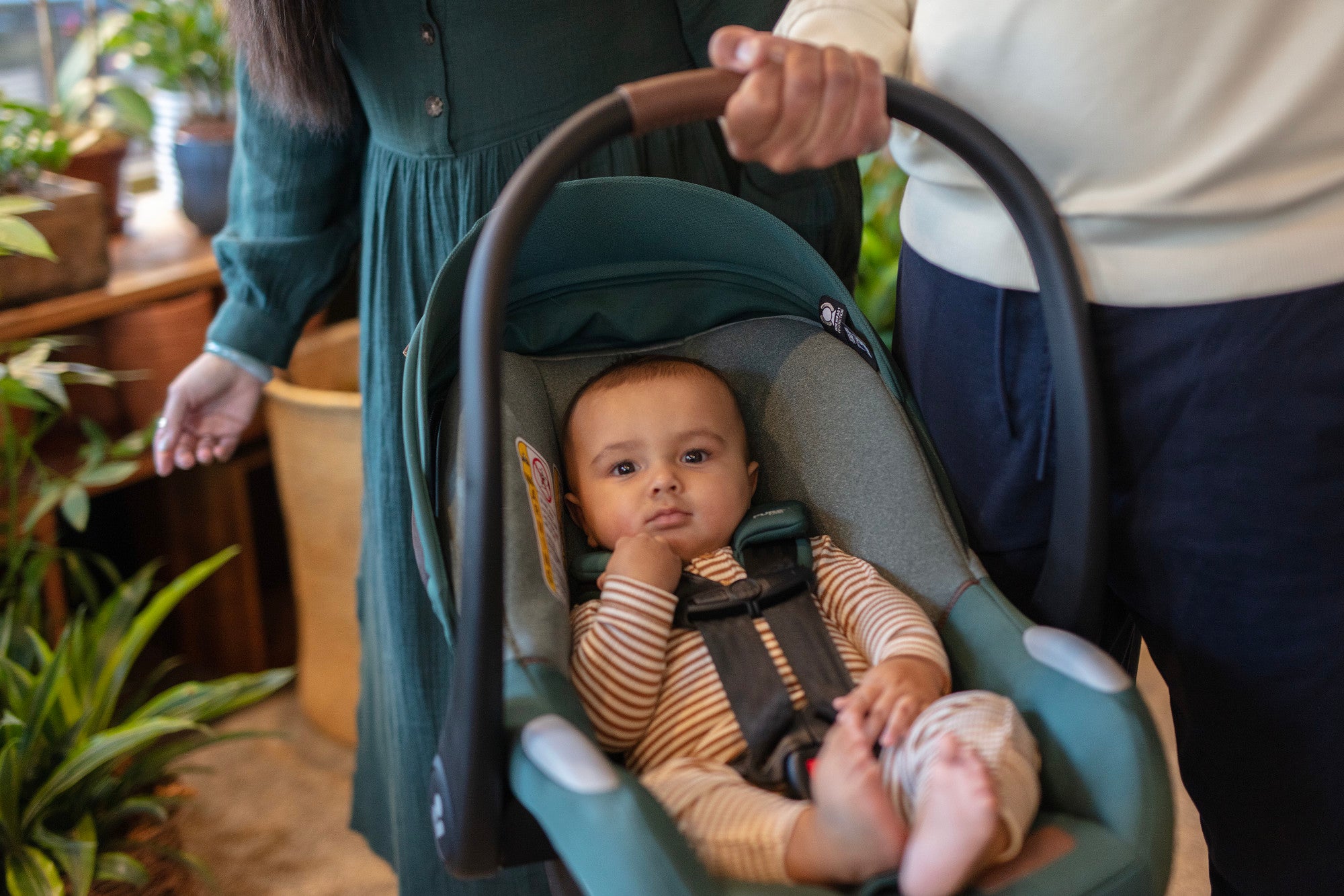 Maxi-Cosi Mico  Luxe Plus Infant Car Seat