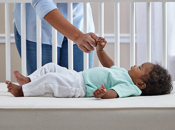 Sealy Soybean Natural Rest Crib and Toddler Mattress