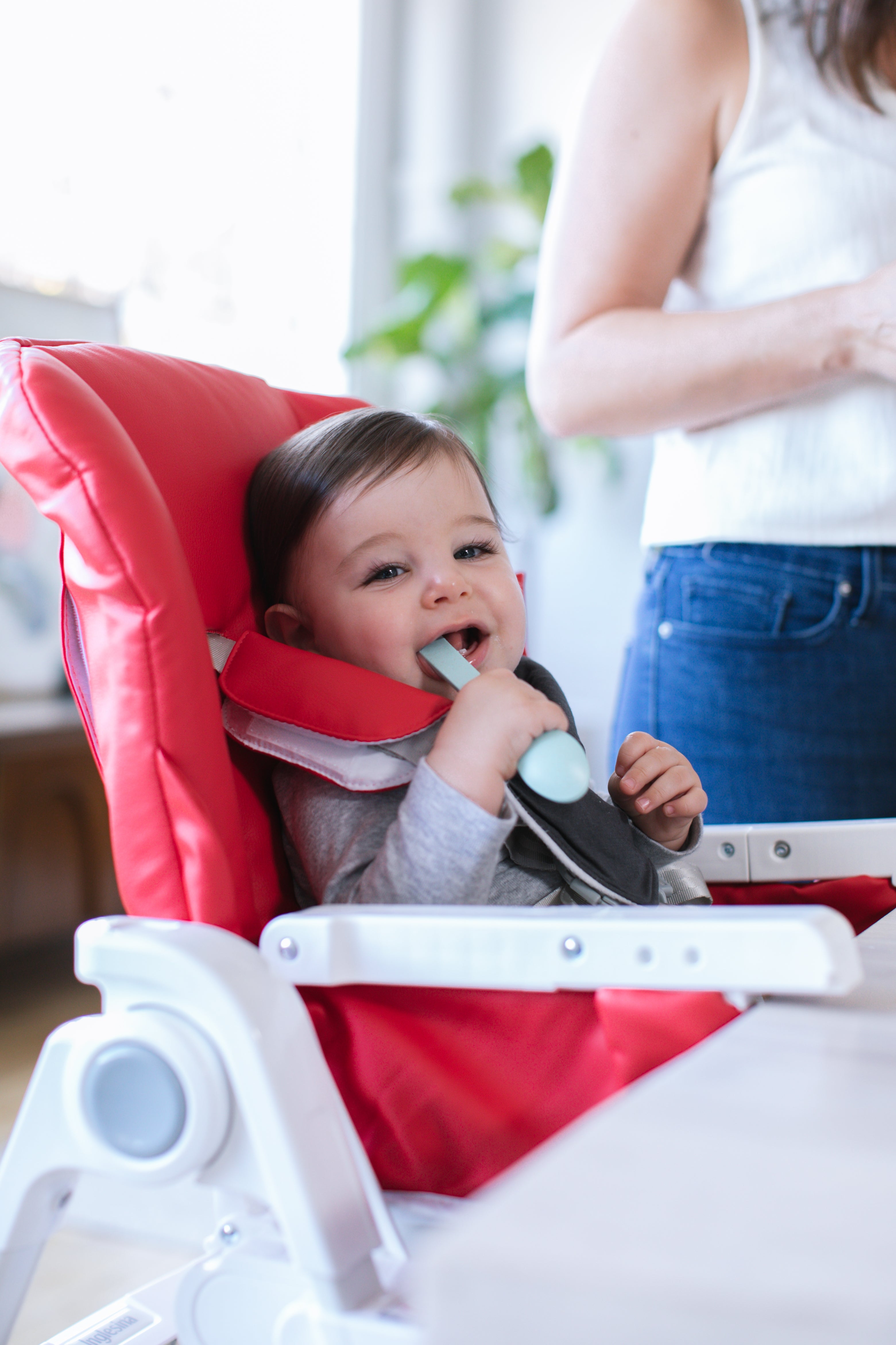 Inglesina Gusto Highchair