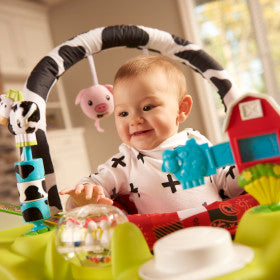 Evenflo Exersaucer